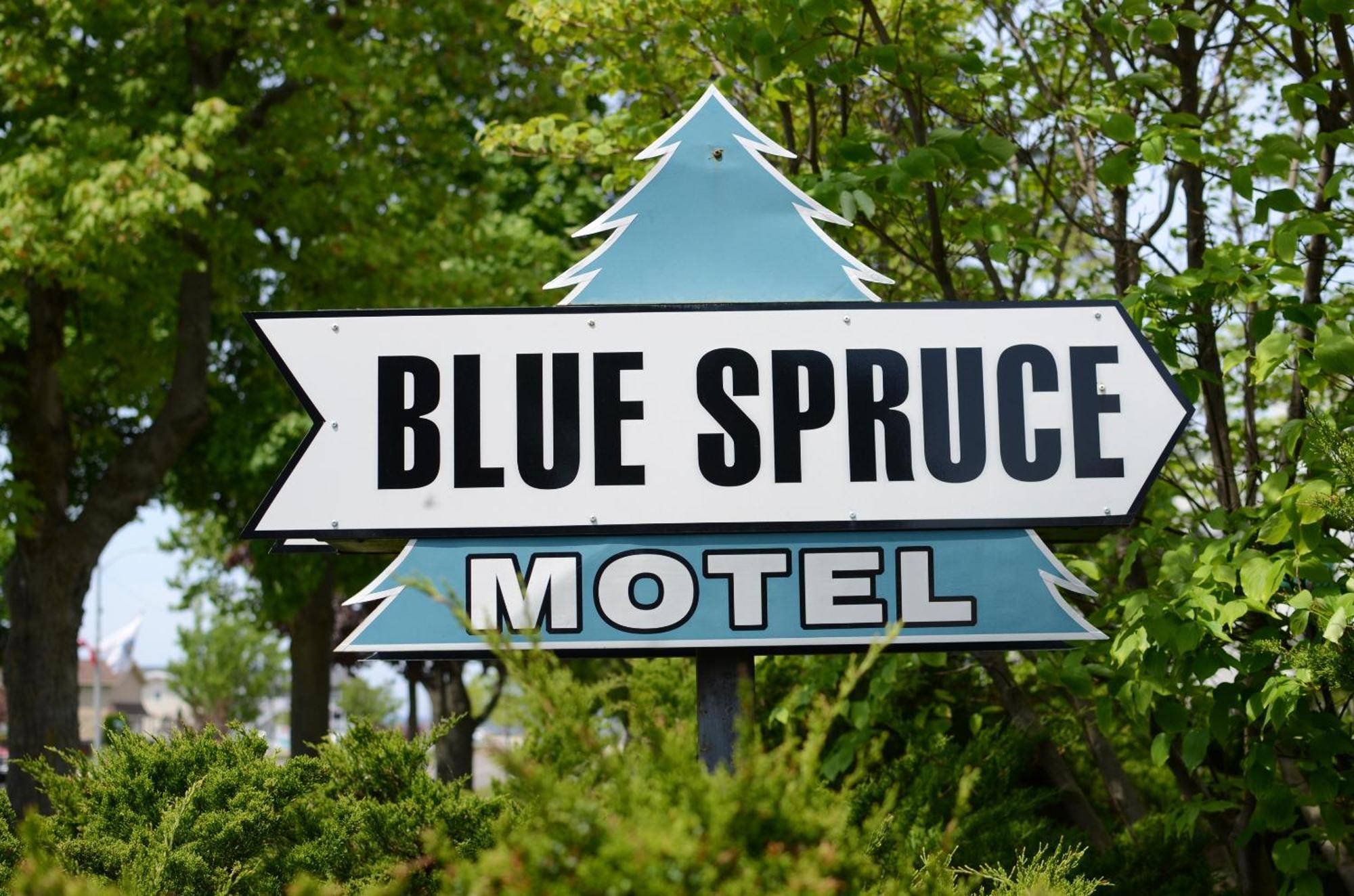 Ludington Blue Spruce Inn Exteriér fotografie